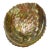 Gold Lacquered Abalone Shell Dish For Sale
