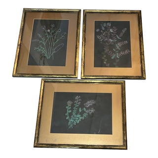 Vintage Floral Still Life Pastel Drawings, Framed - Set of 3 For Sale