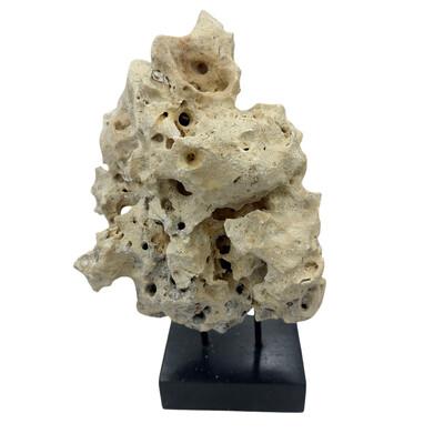 Tribal Indonesian Coral Stone On Teak Stand For Sale - Image 3 of 5