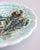 19th Century Swedish Rörstrand Majolica Turquoise Chestnut Leaf Plate For Sale - Image 4 of 8