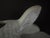 Vintage Chinese Export Stoneware Koi Planter For Sale - Image 9 of 12