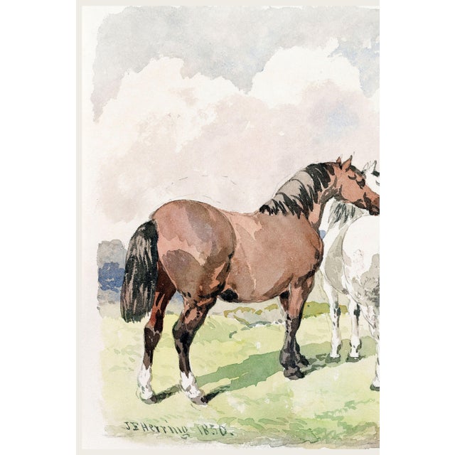 1850 Vintage English Equestrian Art Print by John Frederick Herring - 24" X 16" For Sale In Buffalo - Image 6 of 9