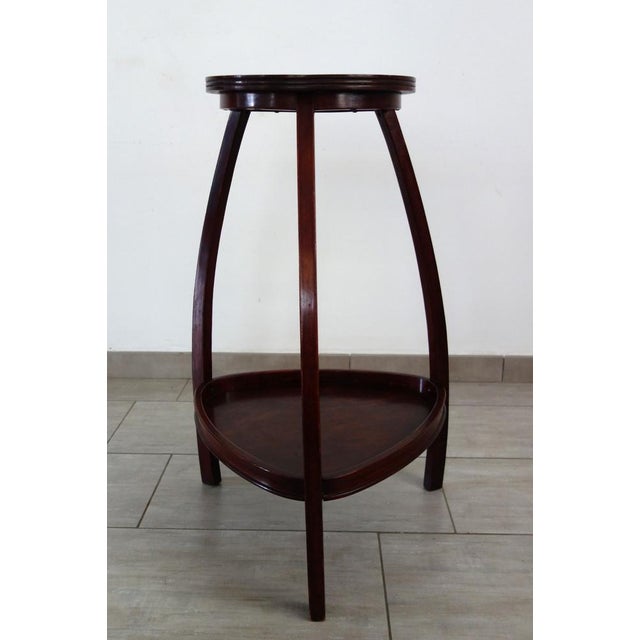 Plant Stand attributed to Otto Wagner for Thonet, 1900s For Sale - Image 5 of 16