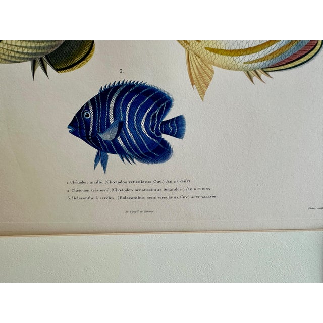 Set 3 Hand-Colored Engraving - Captain Duperry "Voyage De La Coquille" 1826 For Sale - Image 11 of 18