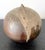 Ceramic Moon Pot with Salt Firing and Rattle by Toshiko Takaezu For Sale - Image 13 of 18