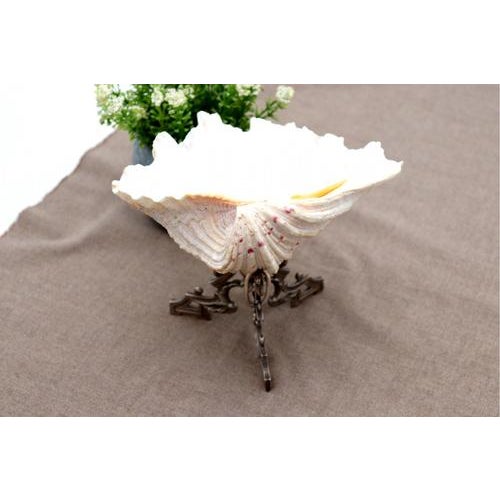 Shell Ring Dish with Silver Stand For Sale - Image 6 of 8