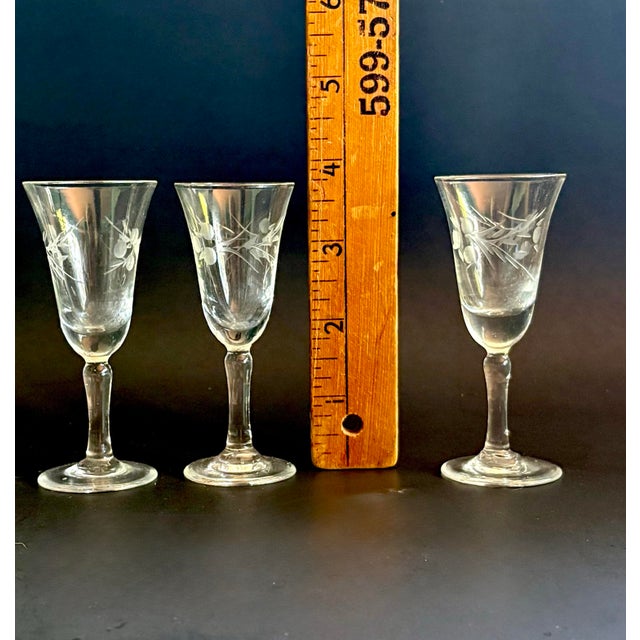 1950s 1950s Mid-Century Modern Etched Cordial Glasses - Set of 3 For Sale - Image 5 of 5