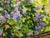 *** ABOUT THIS PAINTING *** * TITLE: "Lilac near the house" * ARTISTS: Dziuban Ivan Feodosievich * SIZE: 40x49.5...