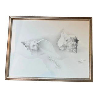1980’s Vintage Beachy Seashell Pencil Drawing Signed For Sale
