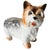 Ceramic Mid-Century Porcelain Yorkshire Terrier Dog Figurine from Imoto, 1960s For Sale - Image 7 of 7