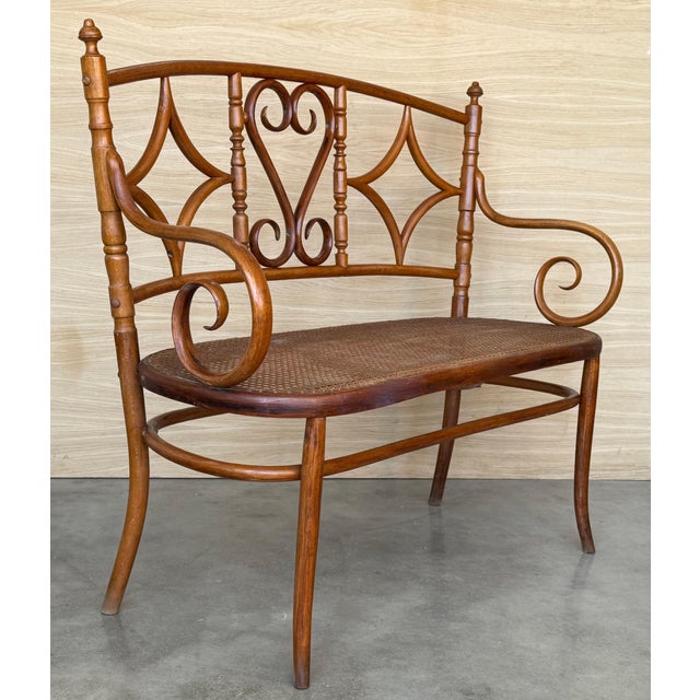 20th Century Bentwood Sofa in the Thonet Style, circa 1925, Caned Seat For Sale - Image 18 of 18