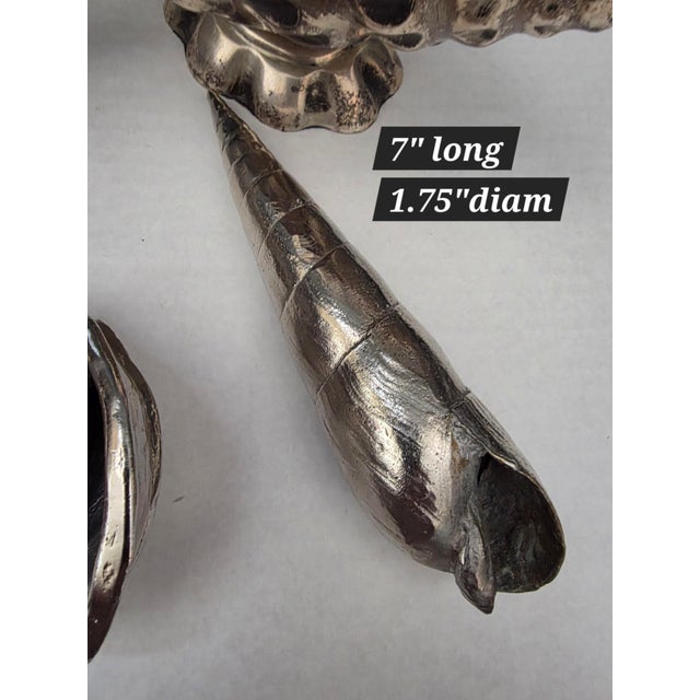 Coastal Collection of Silverplated Sea Shells For Sale - Image 3 of 8