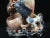 Chinese Chinese Carved Soapstone Foo Dog Sculpture Double Brush Pot Inkwell Vase For Sale - Image 3 of 10