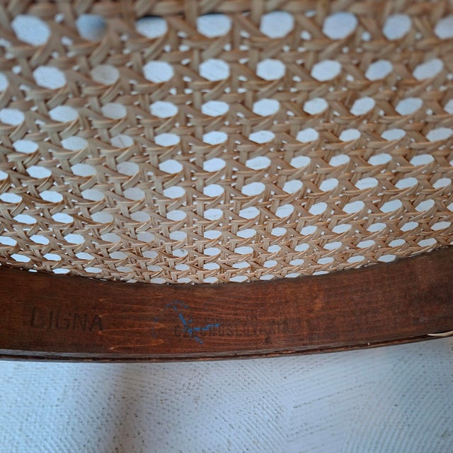 Brown No. 209 Armchair in Brown Bentwood and Rattan from Ligna, 1970s For Sale - Image 8 of 9