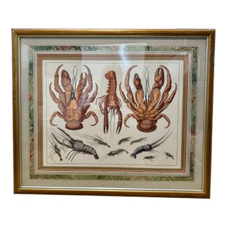 Lobster Vintage Print For Sale