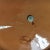 1950s Stangl Pottery "Blueberry" Handled Plate For Sale - Image 10 of 12