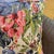 Toucan Parrot Woven 18x18 Cushion Cover For Sale - Image 15 of 18