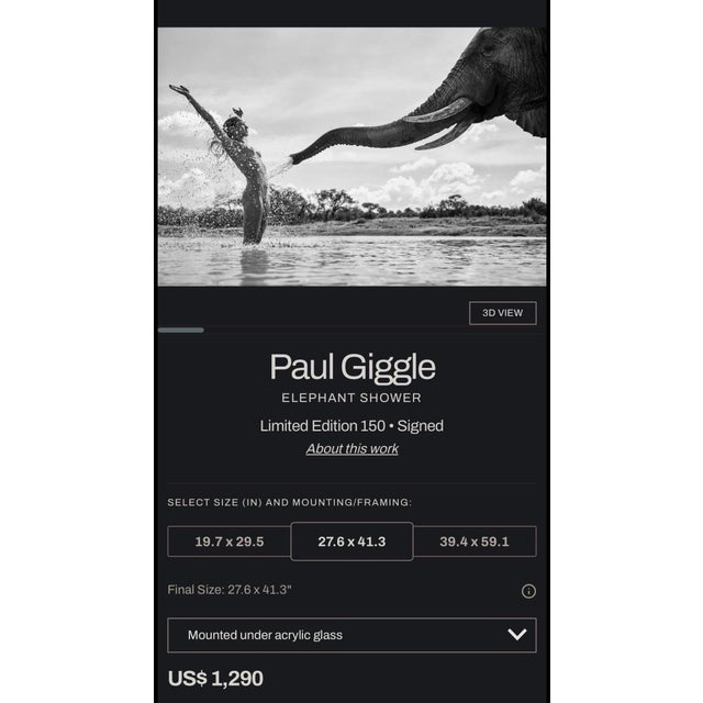 Contemporary Paul Giggle “Elephant Shower” – Signed Limited Edition 17/150 Lumas Acrylic Mounted Print For Sale - Image 3 of 5