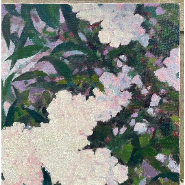 1970s Rare Original John Loughlin 'pink Hydrangea Bush' Flower Floral Oil Painting For Sale - Image 5 of 9