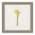 Odds and Ends VIII by Susan Hable For Sale
