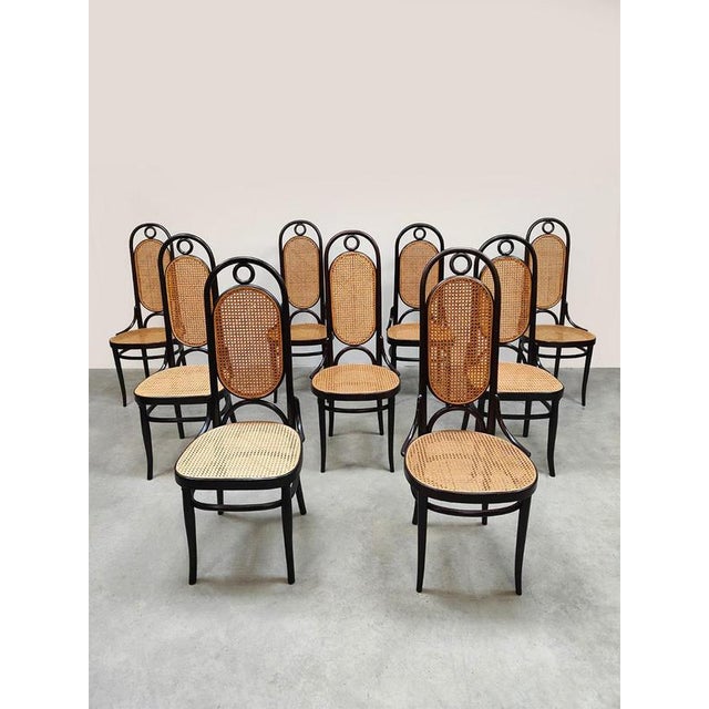 Very chic, this beautiful set of nine identical, original, vintage designer high dining chairs. Designed by Michael Thonet...
