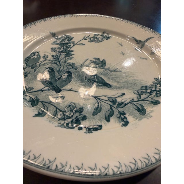 Circa 1880's French Sarreguemines Printemps Teal Bird Transferware Wall Plate For Sale - Image 4 of 6