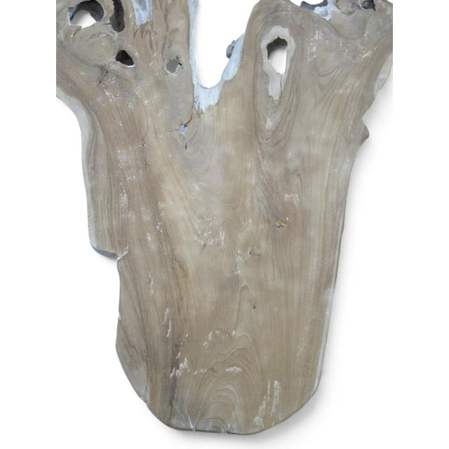 Organic Teak Root Sculpture Wall Art 12 For Sale In Greensboro - Image 6 of 6