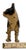 Hard 2 Find Vintage 1930s Hubley Manufacturing Co. Brown Painted Boston Terrier Cast Iron Dog Doorstop For Sale - Image 17 of 18