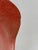 Vintage Salmon Fiberglass Armchair by Charles Eames for Herman Miller, 1962 For Sale - Image 11 of 18