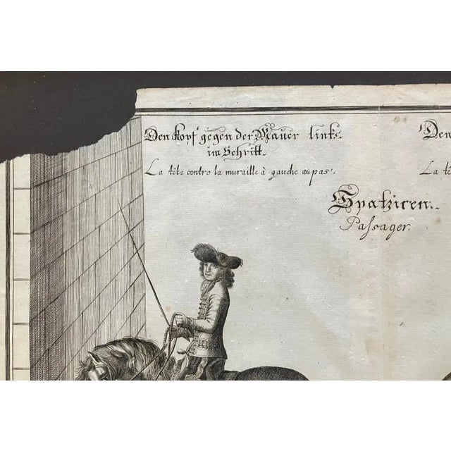 Traditional Framed 1700 Equestrian Engraving by William Cavendish After Van Diepenbeeck Euc For Sale - Image 3 of 7
