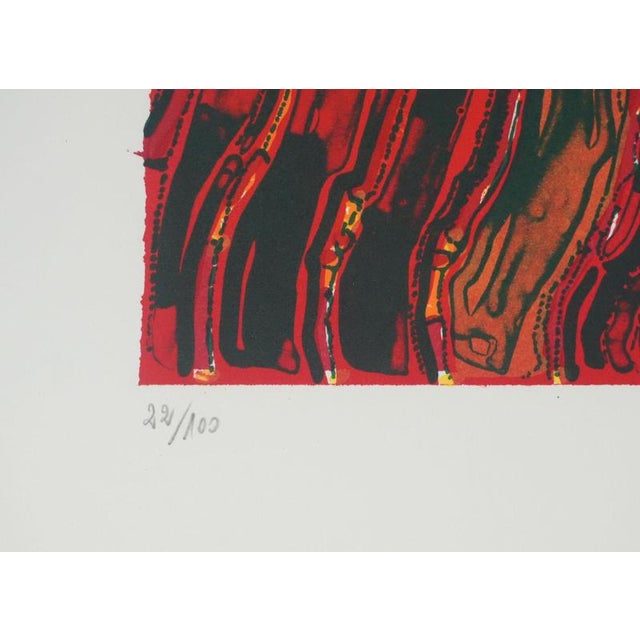 Jean-Pierre Vielfaure, The Chaos Within, Lithograph For Sale - Image 9 of 10