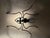 This garden spider is a work of art; this wall lamp is a true masterpiece by a blacksmith who was a true master of his...