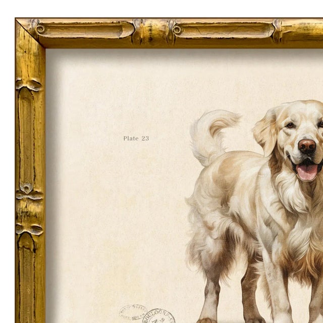Various Artists Reproduction Art Print of Vintage "World of Dogs" Illustration (Blonde Golden Retriever), Framed For Sale - Image 4 of 4