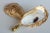 Hollywood Regency Surf Gilded Oyster Shell Lamp Finials For Sale - Image 3 of 4