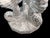 Vintage Three Seahorses Birdbath Concrete For Sale - Image 13 of 18