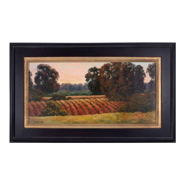 Sheryl Knight Sonoma Sunrise For Sale