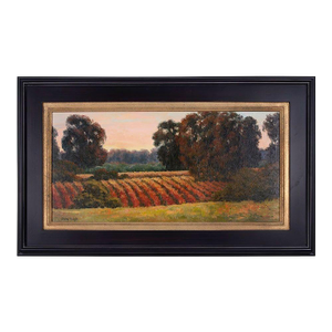 Sheryl Knight Sonoma Sunrise