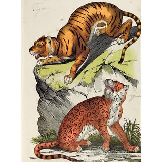 Hand Colored Tiger & Jaguar Woodcut Print For Sale