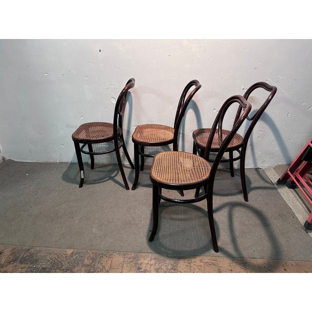 Mondus Chairs from Thonet, Set of 4 For Sale - Image 3 of 7