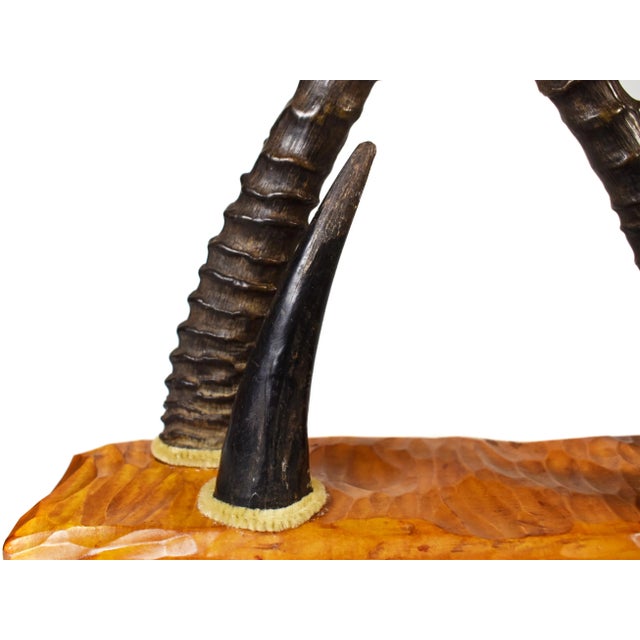 Brown Early 20 Century Antelope Horn Desk Letter Paper Organizer For Sale - Image 8 of 11