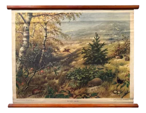 Vintage Linen School Map In the Dune
