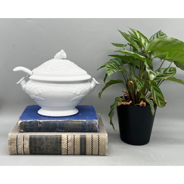 Antique English ironstone covered sauce tureen in the Fenton pattern by J & J Edwards, Staffordshire, late 19th century....