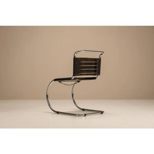 MR10 Cantilever Chairs by Mies Van Der Rohe, 1950s, Set of 4 For Sale - Image 6 of 10
