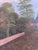 Textile Vintage Original Landscape Oil Painting, Signed Countryside Art, C. 1930 For Sale - Image 7 of 14