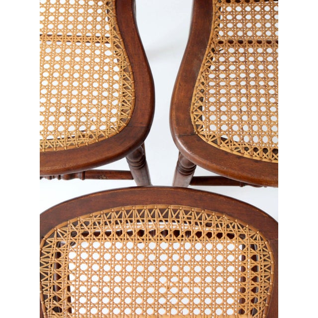 Antique Cane Seat Dining Chairs Set of 3 For Sale - Image 6 of 14