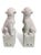 Chinese 1980s Chinese White Ceramic Fu Dogs - a Pair For Sale - Image 3 of 4