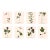 Antique Botanical Set in Oxblood - Set of 8 11" X 14" For Sale