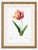 Paper Tulip by Pierre-Joseph Redouté, Vintage Botanical Art Print, 24" X 32" For Sale - Image 7 of 10