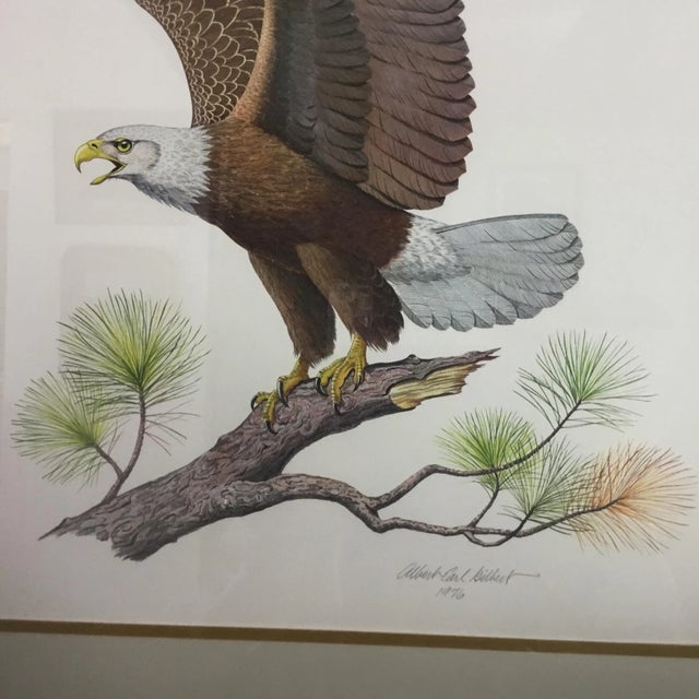 American Bald Eagle by Albert Earl Gilbert For Sale - Image 4 of 8