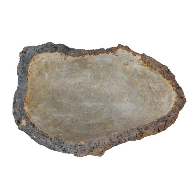 Petrified Coral Bowl by Xyleia Petrified Wood For Sale - Image 6 of 7